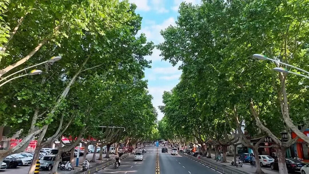 网上十大娱乐网址