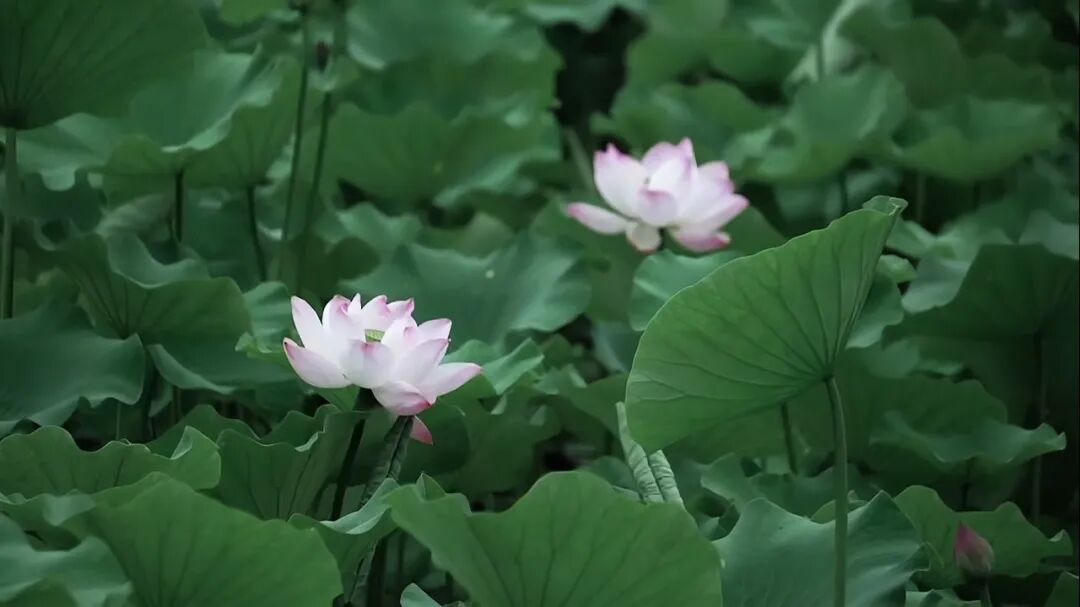 网上十大娱乐网址