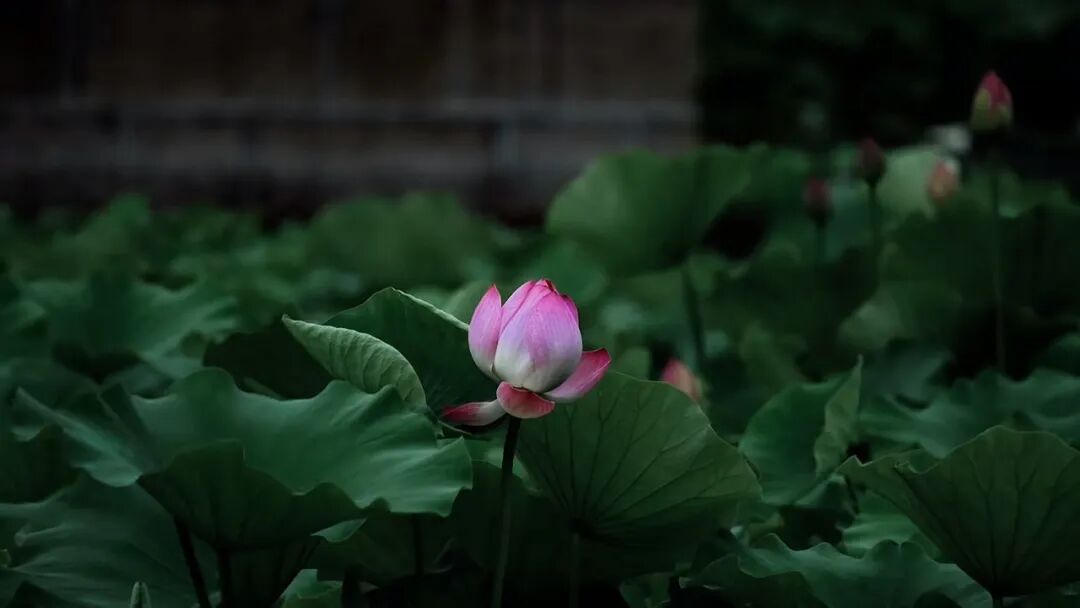 网上十大娱乐网址