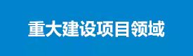 重大建设项目领域